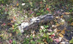 Scavengar Hunt walk with Connor 013