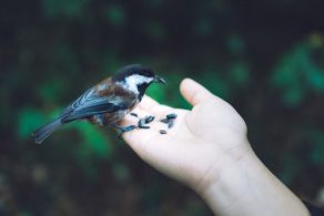 Cultivating stronger connections between nature and children